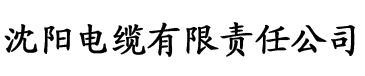 久久麻豆精亚洲AV品国产电缆厂logo